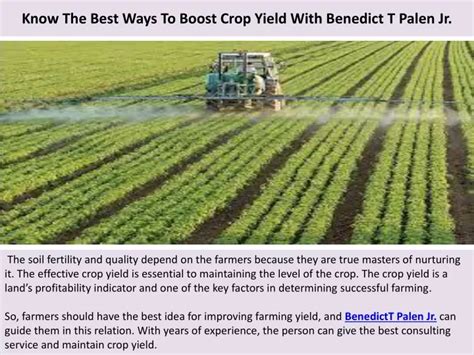 47 Ways to Boost Crop Yield Without Harming the Planet