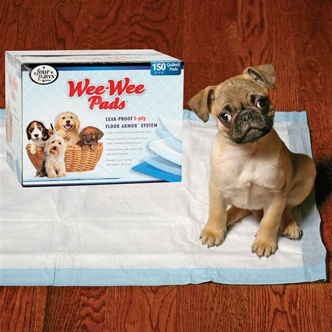 49 Wee Wee Pads for Dogs: The Ultimate Guide to Perfect Potty Training