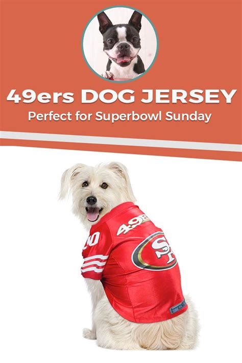 49ers Dog Jersey: The Ultimate Guide