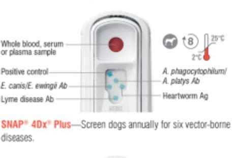 4dx test for dogs