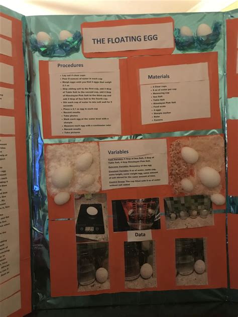 4th grade science projects eggs floating Doc