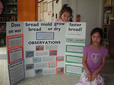4th grade science projects videos Epub