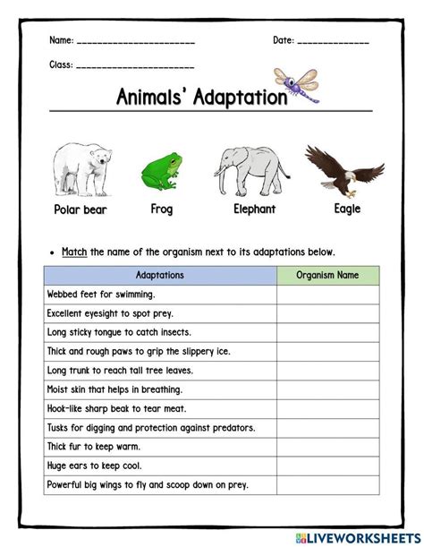 4th grade test animal adaptations Doc