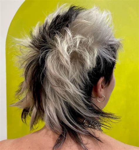 5,000+ Skunk Stripes Hair Inspirations for Your Next Edgy Look