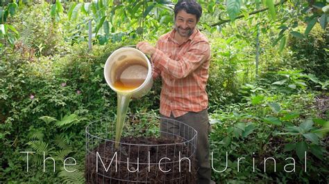 5,000 Ways to Use Urine as Fertilizer