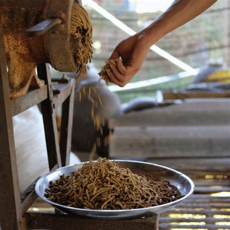 5 "Must-Read" Tips for Choosing the Perfect Machine Pelletizer of Fertilizer