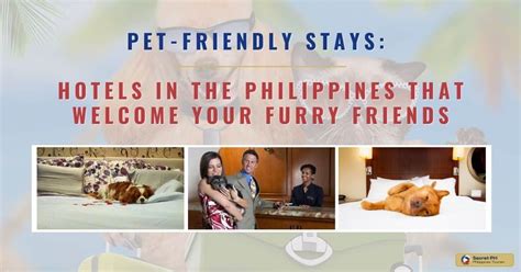 5+ Extended Stay Hotels That Welcome Your Furry Friends