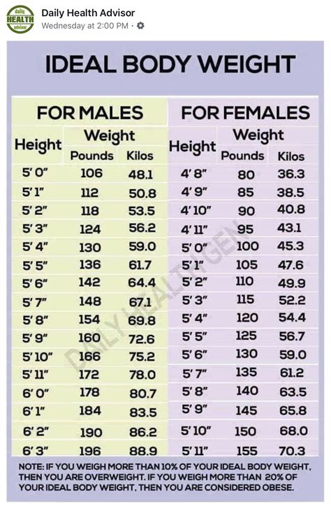 5 3 Weight Chart