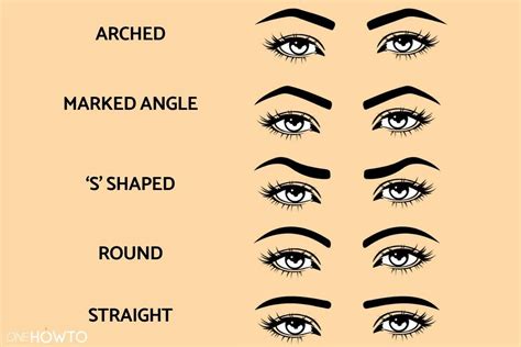 5 Amazing Eyebrow Shapes For Different Face Types