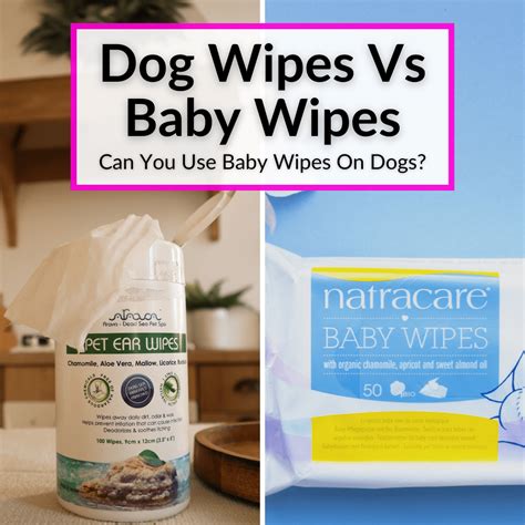 5 Amazing Pet Wipes VS 10 Hilarious Moments