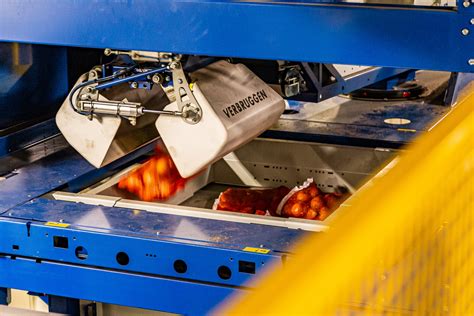 5 Amazing Ways Palletizer Machines Revolutionize Your Packaging Process