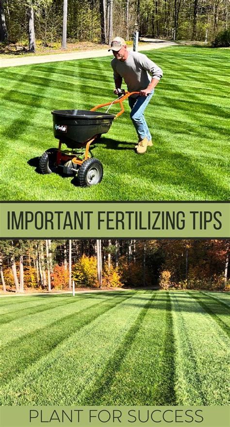 5 Amazing Ways to Boost Your Lawn with Fertilizer & Pre-Emergent