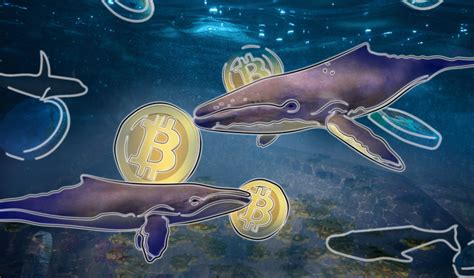 5 Astonishing Facts About Cryptowhales That Will Blow Your Mind