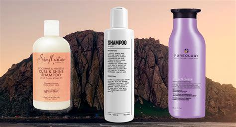 5 Best Shampoos for Oily Scalp and Hair Fall: Regain Confidence in Your Crown