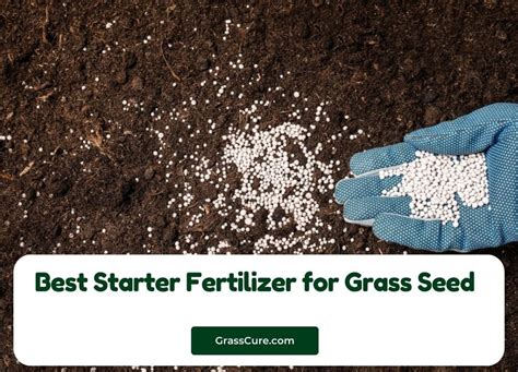 5 Best Starter Fertilizers for a Bountiful Harvest in 2025