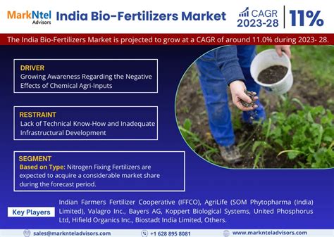 5 Bio Fertilizer Manufacturers Dominating the Industry