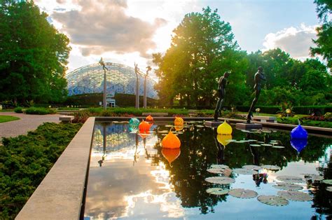 5 Botanical Gardens in St. Louis that You Can't Miss