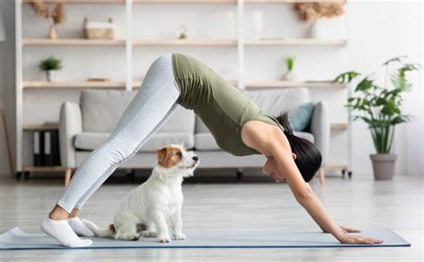 5 Burning Puppy Yoga FAQs Answered for 2025