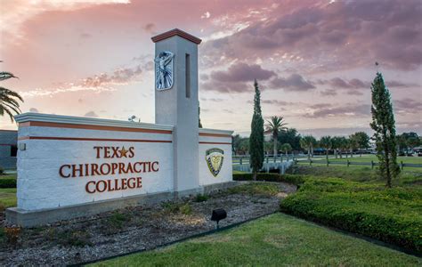 5 Chiropractic Colleges in Texas: A Comprehensive Guide