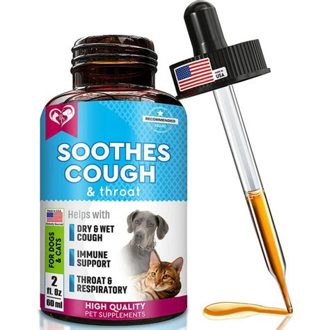 5 Cough Meds for Dogs That Really Work