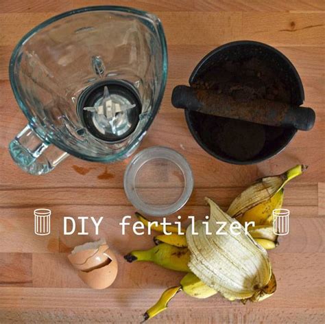 5 Creative Food Fertilizer Hacks for Your Veggies