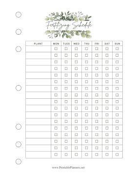 5 Critical Molly Plant Fertilizing Time Frames