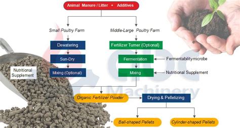 5 Critical Steps to Enhance Your Chicken Manure Pelletizing Operation