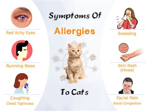 5 Cutting-Edge Medicine for Cat Allergies: Relieve Symptoms & Live Freely