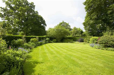 5 Easy Steps for a Lush, Green Lawn This Spring