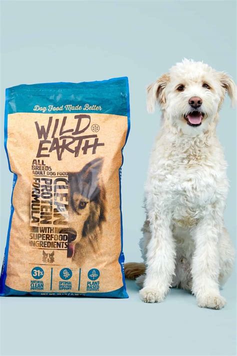 5 Eco-Friendly Pet Food Brands to Watch in 2025