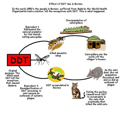 5 Effective Moves to Counter a DDT