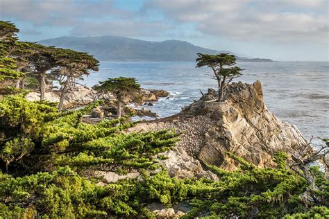 5 Enchanting Reasons to Explore Carmel-By-The-Sea