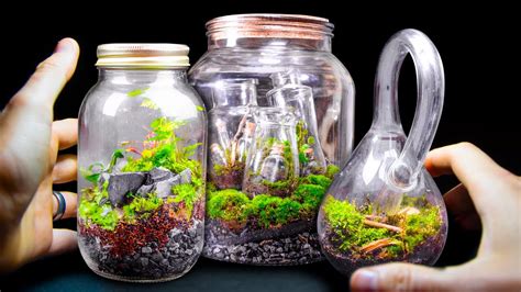 5 Epic Terrarium Influencers To Watch in 2025: Masterclasses VS DIY