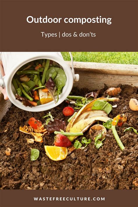 5 Essential Compost Fermenters for Home and Backyard