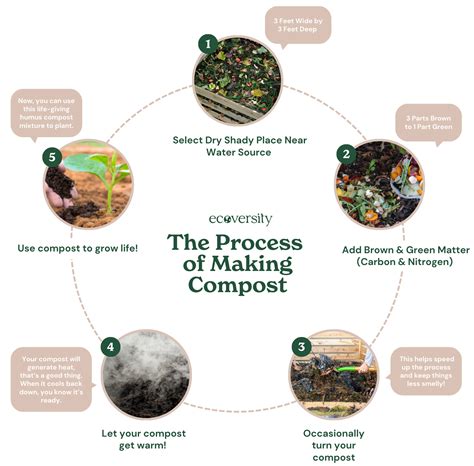 5 Essential Compost Turning Equipment for Optimal Soil Health