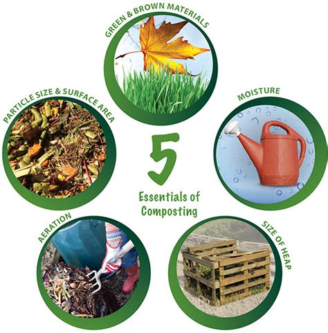 5 Essential Crushers for Compost You Must Know About