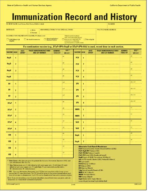 5 Essential Facts About Immunization Records in Singapore