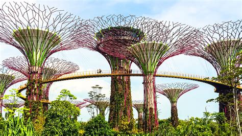 5 Essential Jade Shopping Destinations in Singapore 2025