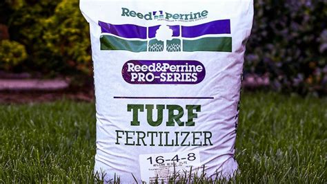 5 Essential Numbers for Perfect Grass Fertilizer