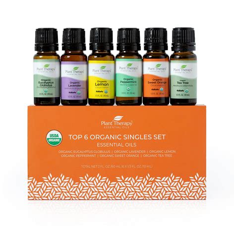 5 Essential Oils & Diffusers for Home & Health