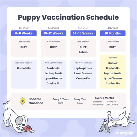 5 Essential Puppy Vaccines Near Me