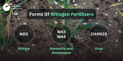 5 Essential Standard Fertilizers: Unlocking Plant Potential