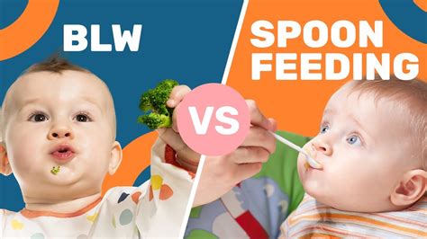 5 Essential Steps for Successful Spoon-Led Weaning