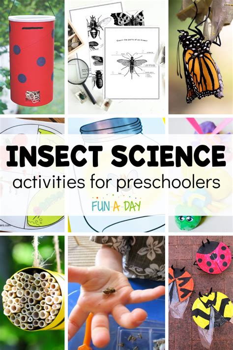 5 Fascinating Insect Activities for Preschoolers