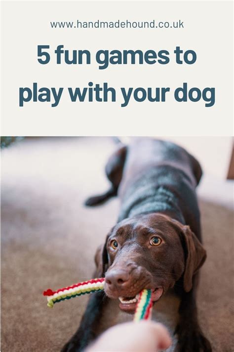 5 Fun Games to Play With Your Dog in 2025