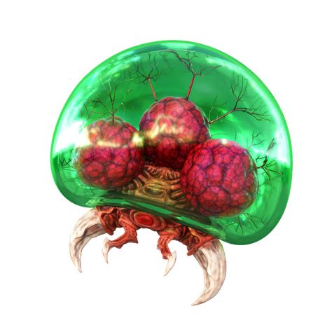 5 Incredible Metroid Larva Facts & Their Surprisingly Useful Applications