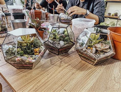 5 Incredible Terrarium Workshops in Singapore