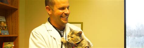 5 Incredible Veterinarians in Kokomo, Indiana, You Can Trust with Your Furry Friends