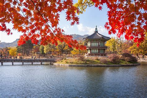 5 Irrefutable Reasons Why South Korea Is Safe for Travel