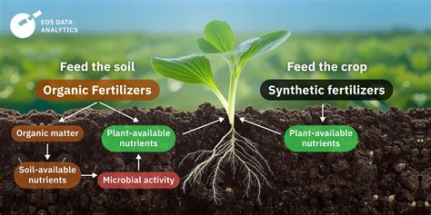 5 Key Differences Between Organic and Synthetic Fertilizers